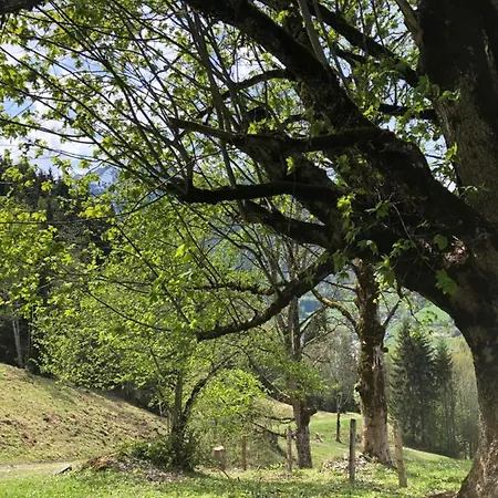 Apartmán Haus Voglreiter - Inkl Sommerkarte, Zentrale Und Ruhige Lage, Garten Mit Spielplatz *