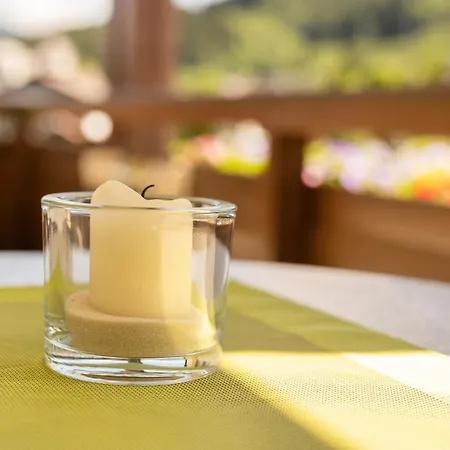 Haus Voglreiter - Inkl Sommerkarte, Zentrale Und Ruhige Lage, Garten Mit Spielplatz Appartement Kaprun