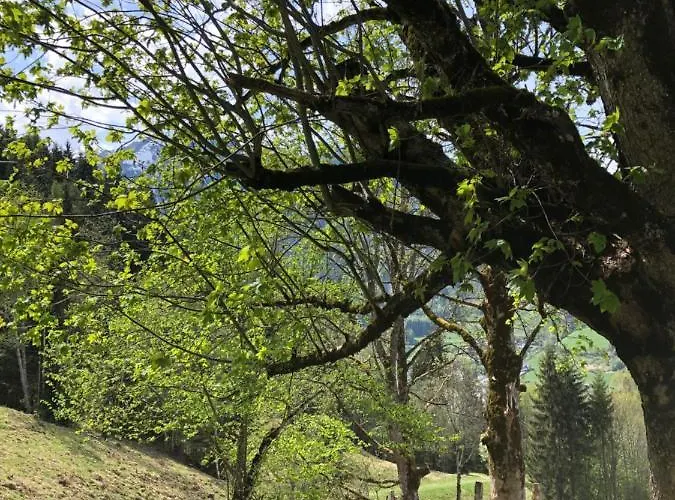 Apartmán Haus Voglreiter - Inkl Sommerkarte, Zentrale Und Ruhige Lage, Garten Mit Spielplatz *